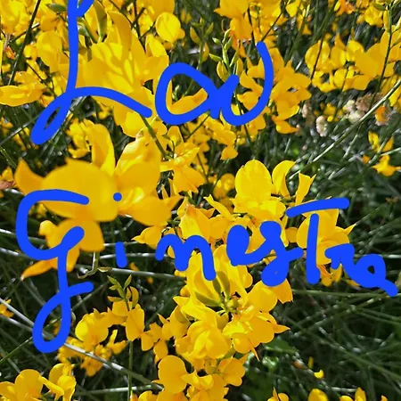 House La Ginestra 度假居