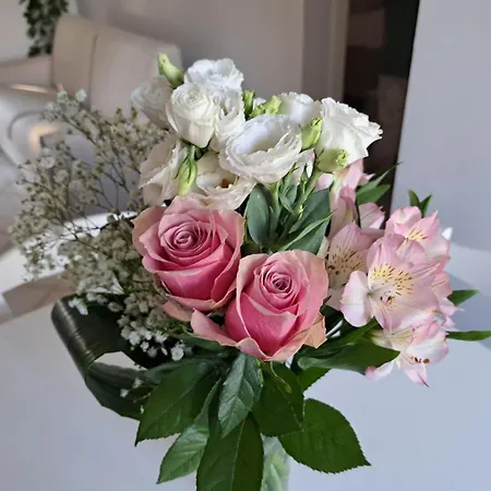 Dom wakacyjny House La Ginestra *