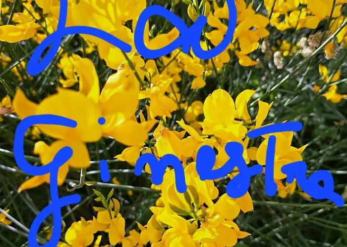 House La Ginestra Дом отдыха